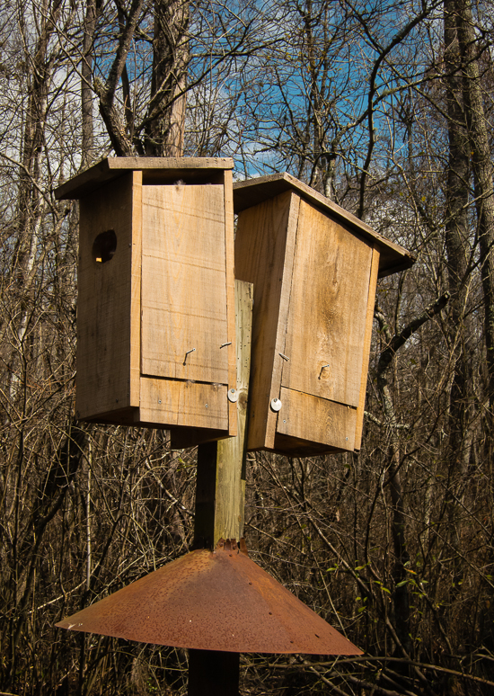 Wood Duck nest boxes