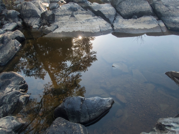 Haw River reflections 4